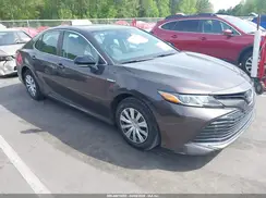 4T1B31HK2KU007955 2019 TOYOTA CAMRY