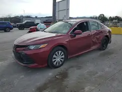 4T1B31HK2KU509137 2019 TOYOTA CAMRY