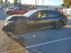 4T1B31HK2KU509445 2019 TOYOTA CAMRY