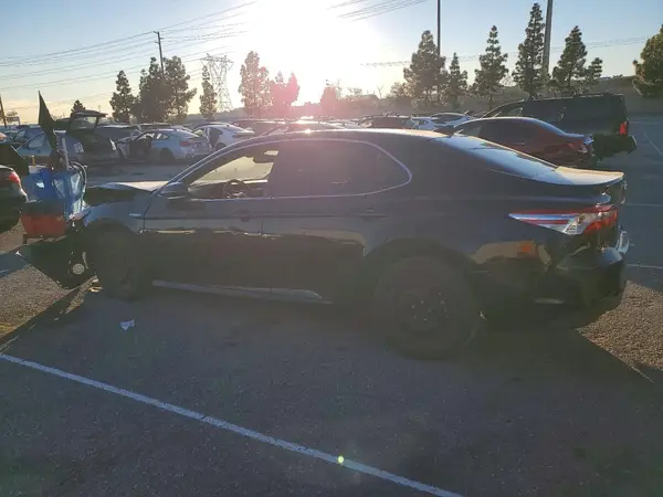 4T1B31HK2KU509445 2019 TOYOTA CAMRY - Image 2