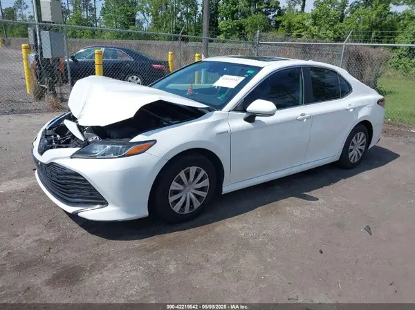 4T1B31HK2KU510238 2019 TOYOTA CAMRY - Image 2