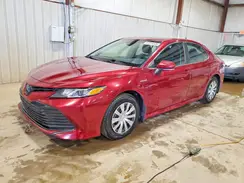 4T1B31HK2KU510398 2019 TOYOTA CAMRY
