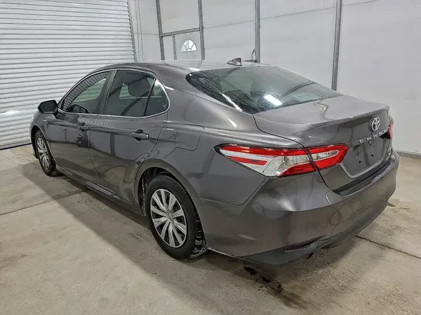 4T1B31HK2KU511633 2019 TOYOTA CAMRY - Image 2