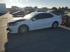 4T1B31HK2KU516055 2019 TOYOTA CAMRY