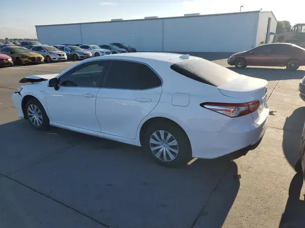 4T1B31HK2KU516055 2019 TOYOTA CAMRY - Image 2