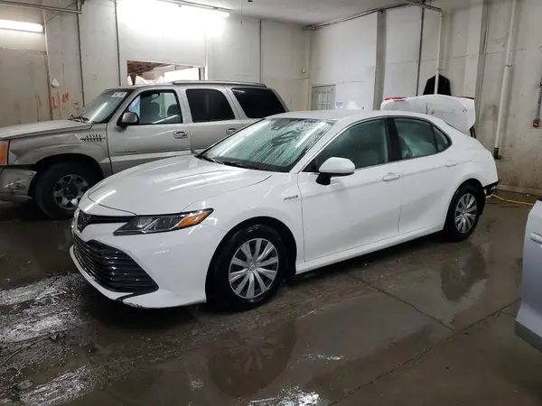 4T1B31HK3KU004904 2019 TOYOTA CAMRY - Image 1