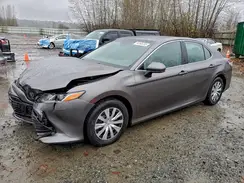 4T1B31HK3KU004952 2019 TOYOTA CAMRY