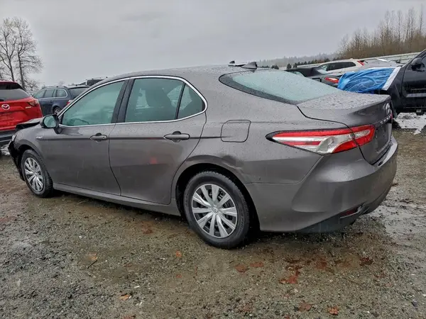4T1B31HK3KU004952 2019 TOYOTA CAMRY - Image 2