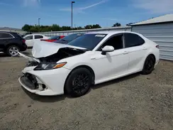 4T1B31HK3KU005101 2019 TOYOTA CAMRY