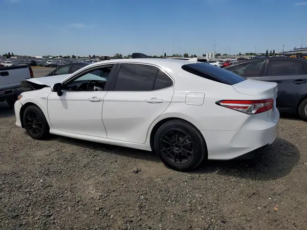 4T1B31HK3KU005101 2019 TOYOTA CAMRY - Image 2