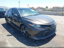 4T1B31HK3KU005244 2019 TOYOTA CAMRY