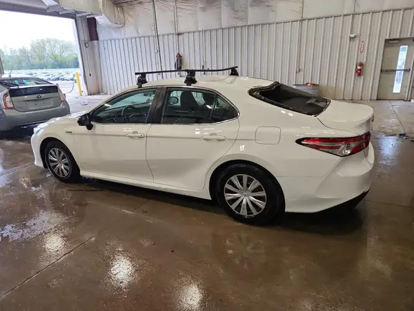 4T1B31HK3KU006491 2019 TOYOTA CAMRY - Image 2