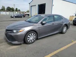 4T1B31HK3KU006667 2019 TOYOTA CAMRY