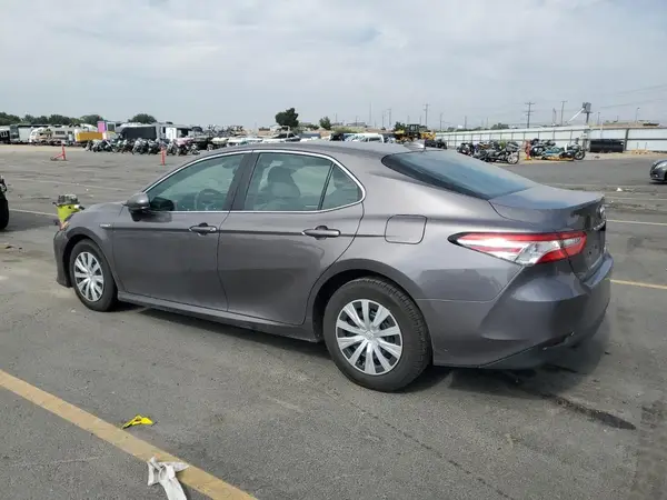 4T1B31HK3KU006667 2019 TOYOTA CAMRY - Image 2