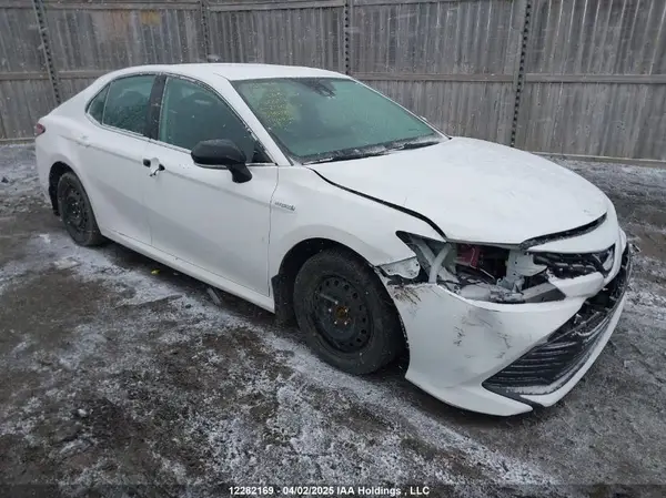 4T1B31HK3KU006717 2019 TOYOTA CAMRY - Image 1