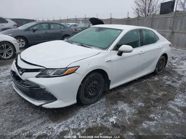4T1B31HK3KU006717 2019 TOYOTA CAMRY - Image 2