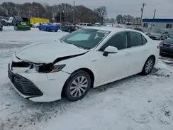 4T1B31HK3KU006748 2019 TOYOTA CAMRY