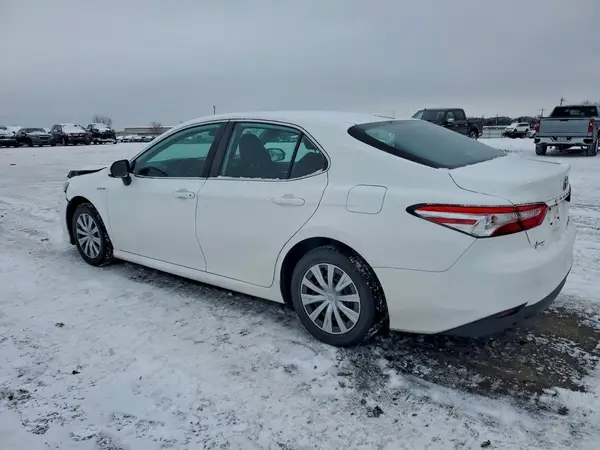 4T1B31HK3KU006748 2019 TOYOTA CAMRY - Image 2
