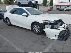 4T1B31HK3KU007382 2019 TOYOTA CAMRY