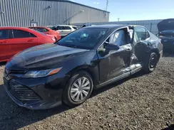 4T1B31HK3KU509518 2019 TOYOTA CAMRY