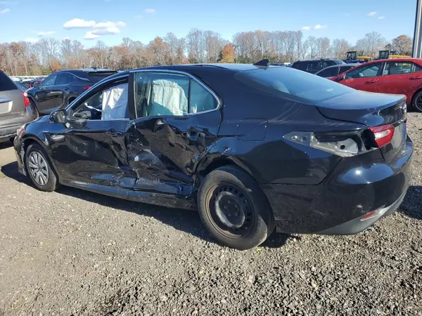 4T1B31HK3KU509518 2019 TOYOTA CAMRY - Image 2