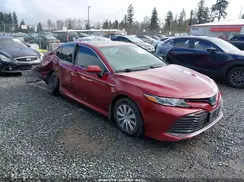 4T1B31HK3KU510832 2019 TOYOTA CAMRY