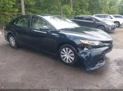 4T1B31HK3KU511527 2019 TOYOTA CAMRY
