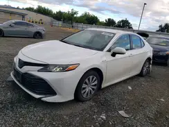 4T1B31HK3KU514282 2019 TOYOTA CAMRY