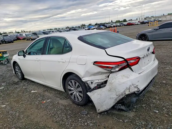 4T1B31HK3KU514282 2019 TOYOTA CAMRY - Image 2