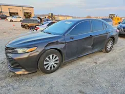 4T1B31HK3KU514377 2019 TOYOTA CAMRY