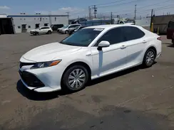 4T1B31HK3KU514802 2019 TOYOTA CAMRY
