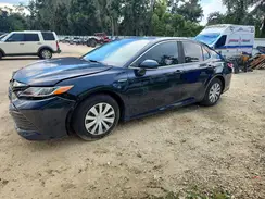 4T1B31HK3KU514816 2019 TOYOTA CAMRY