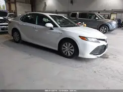 4T1B31HK3KU515514 2019 TOYOTA CAMRY