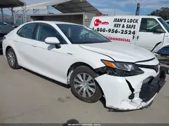 4T1B31HK3KU515884 2019 TOYOTA CAMRY