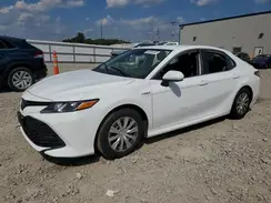 4T1B31HK3KU515996 2019 TOYOTA CAMRY