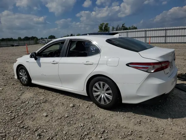 4T1B31HK3KU515996 2019 TOYOTA CAMRY - Image 2