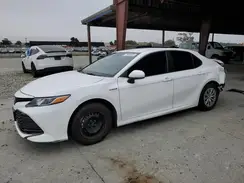 4T1B31HK3KU516131 2019 TOYOTA CAMRY