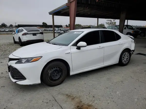 4T1B31HK3KU516131 2019 TOYOTA CAMRY - Image 1