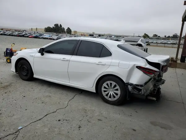 4T1B31HK3KU516131 2019 TOYOTA CAMRY - Image 2