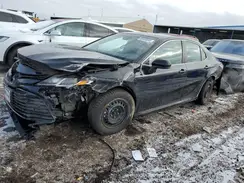 4T1B31HK3KU516355 2019 TOYOTA CAMRY