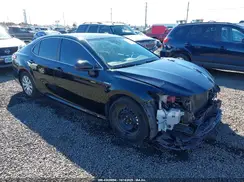 4T1B31HK3KU517294 2019 TOYOTA CAMRY