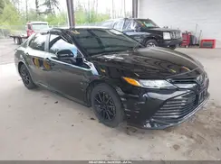 4T1B31HK3KU517800 2019 TOYOTA CAMRY