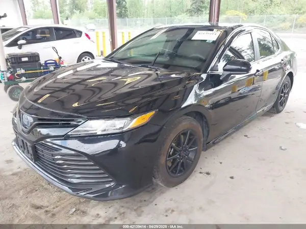 4T1B31HK3KU517800 2019 TOYOTA CAMRY - Image 2
