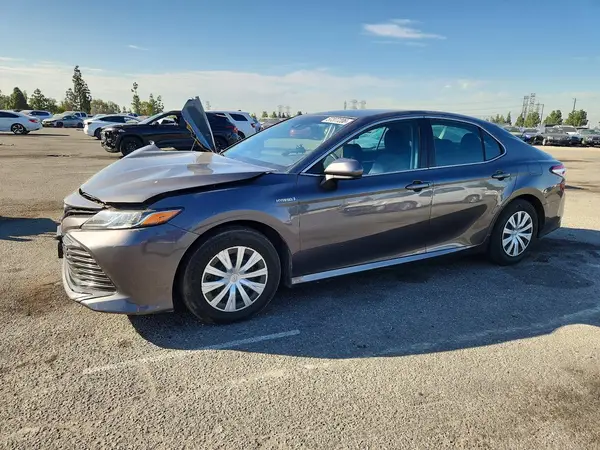 4T1B31HK3KU517859 2019 TOYOTA CAMRY - Image 1
