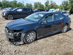 4T1B31HK4KU008346 2019 TOYOTA CAMRY