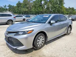 4T1B31HK4KU509706 2019 TOYOTA CAMRY