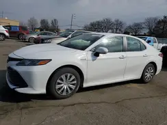 4T1B31HK4KU510130 2019 TOYOTA CAMRY