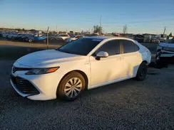 4T1B31HK4KU510323 2019 TOYOTA CAMRY