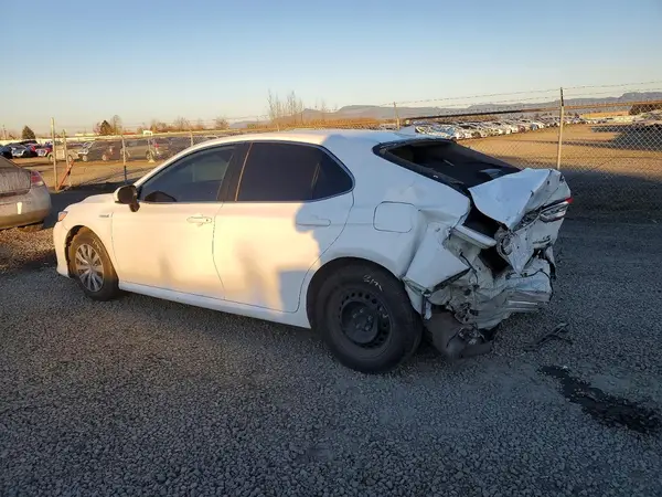 4T1B31HK4KU510323 2019 TOYOTA CAMRY - Image 2