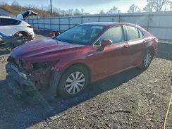 4T1B31HK4KU511715 2019 TOYOTA CAMRY